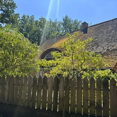 Wohnen Unterm Reetdach Toppenstedt